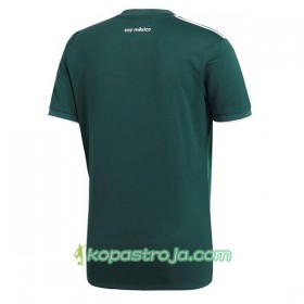 Billiga Fotbollströjor Mexiko WM 2018 Hemma tröja